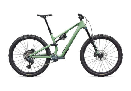 Stumpjumper 15 EVO Expert AXS